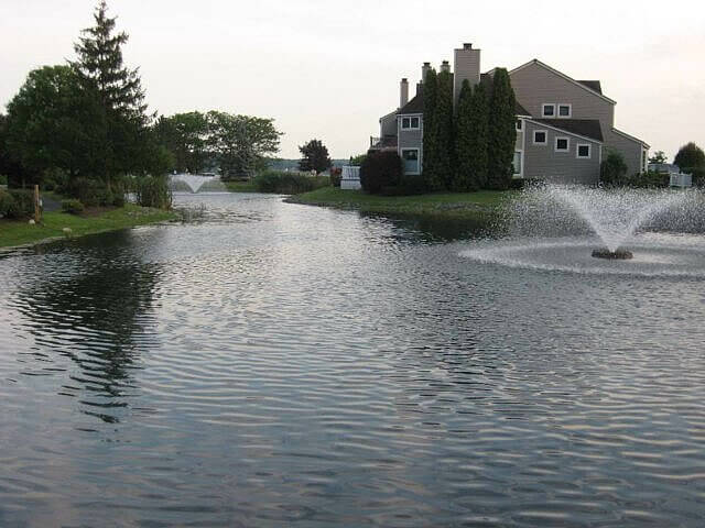 pond pond