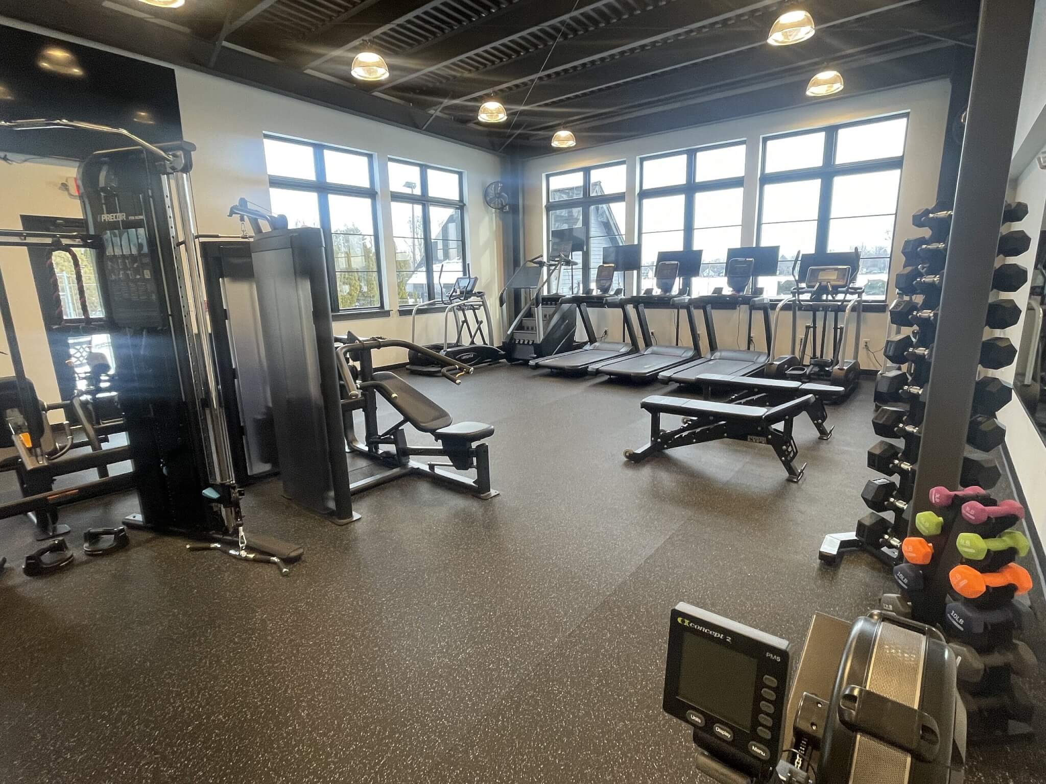 New Gym New Gym